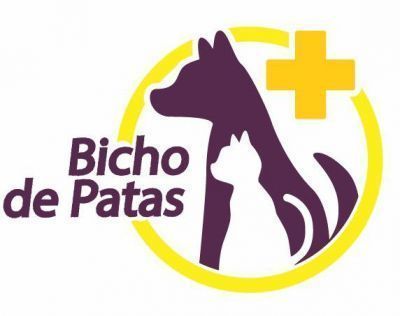 BICHO DE PATAS