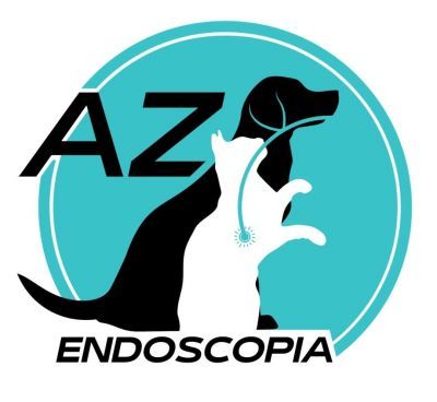 AZ Endoscopia - DR. BRUNO AZEVEDO SILVA