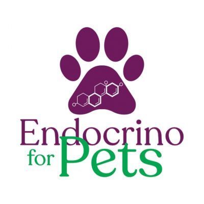 DRA. NANCI - ENDOCRINO FOR PETS