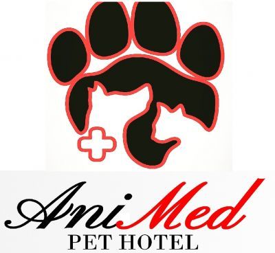 Pet Shop Próximo - Animed Clínica Veterinária Clínica Veterinária